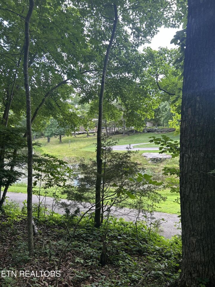 Property Photo:  26 Rolling Green Court  TN 38558 