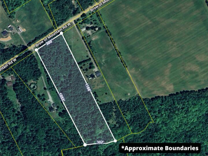 Lot Brow Of Mountain Road W — photo 1