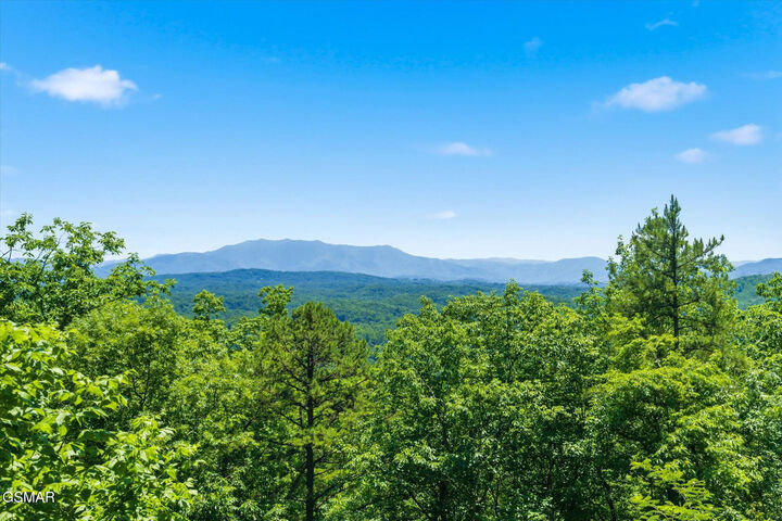 Property Photo:  1846 Blue Tick Way  TN 37876 