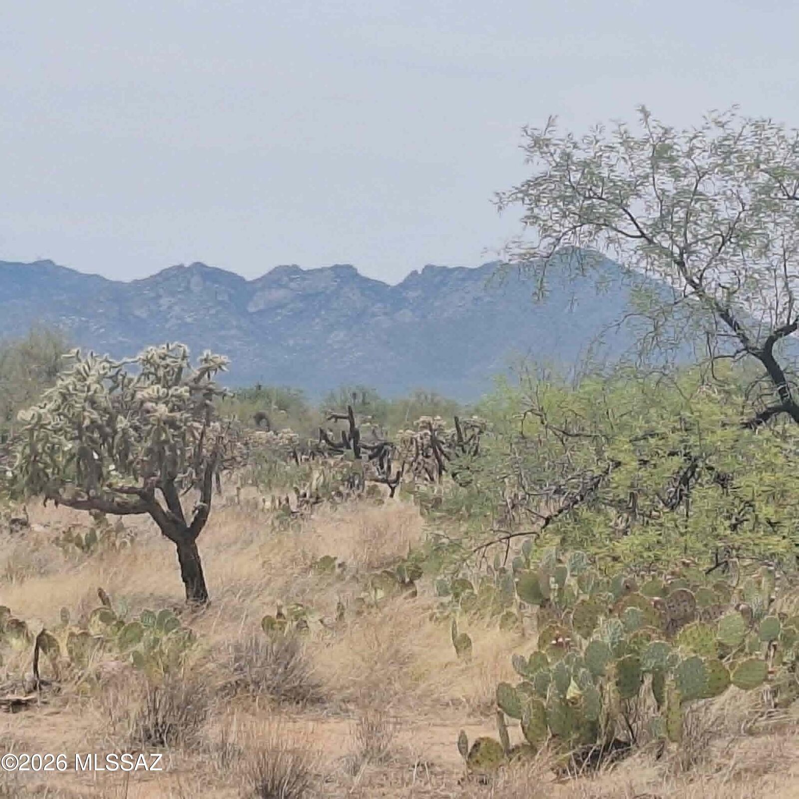 Property Photo:  15102 S Muldoon Avenue 82  AZ 85736 