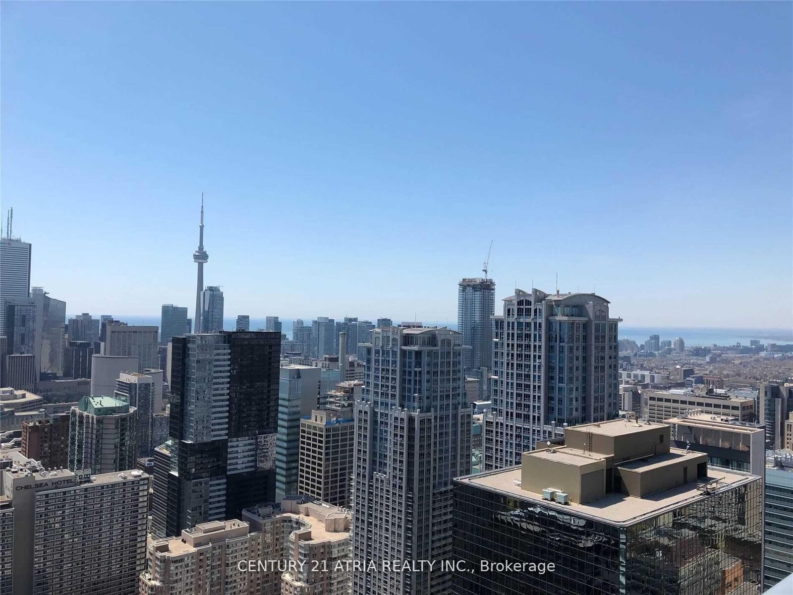 Photo de la propriété:  7 Grenville Street 5010  ON M5Y 0E9 