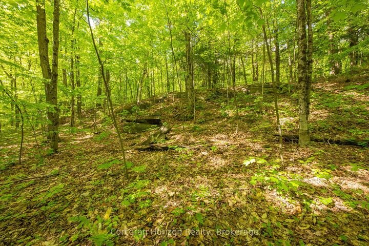 Property Photo:  1020 Ridge Road  ON P0C 1M0 