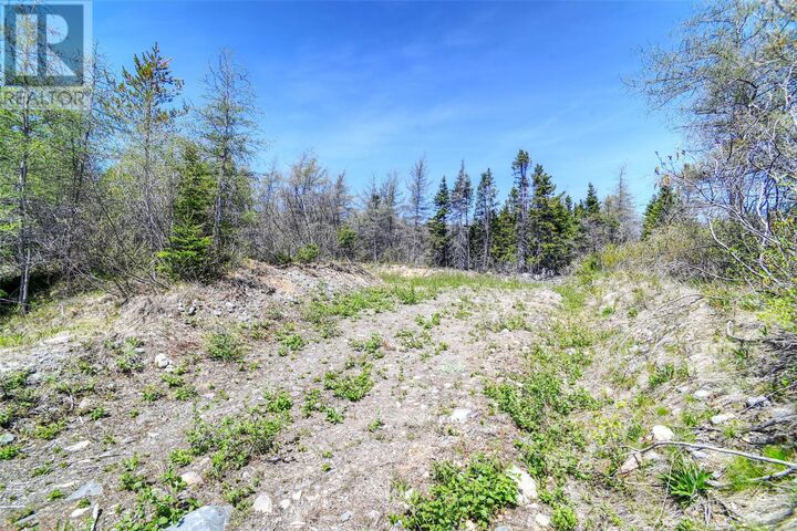 Property Photo:  0 Country Road  NL A0A 1G0 