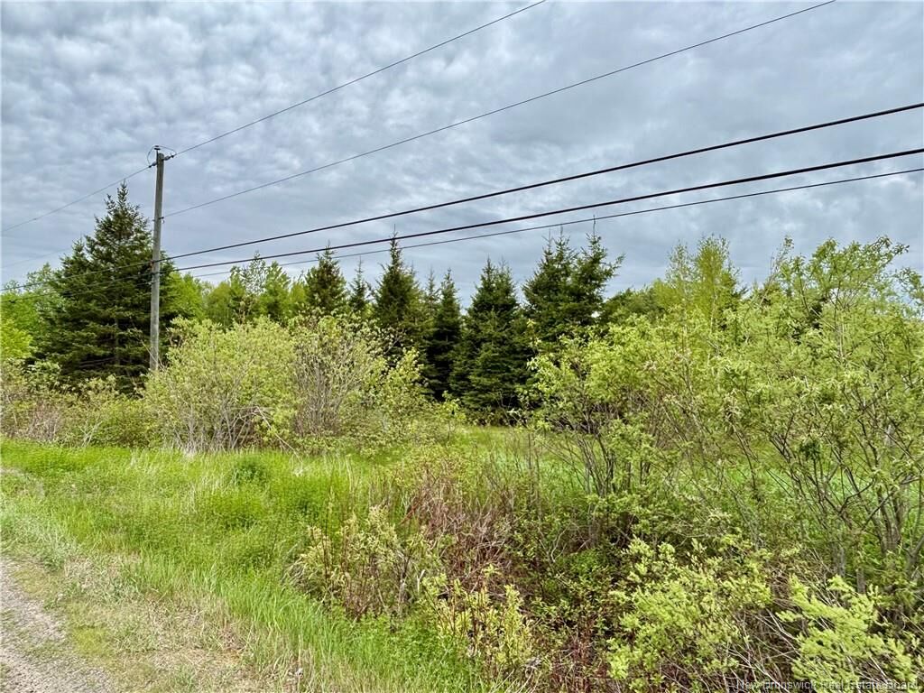 Property Photo:  32.6 Acres Rte 160  NB E8M 1A9 