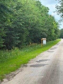 Property Photo: 254 County Road 312 TX 77327