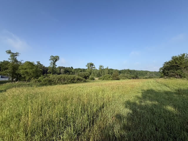 Property Photo:  Parcel B E M-79  MI 49073 