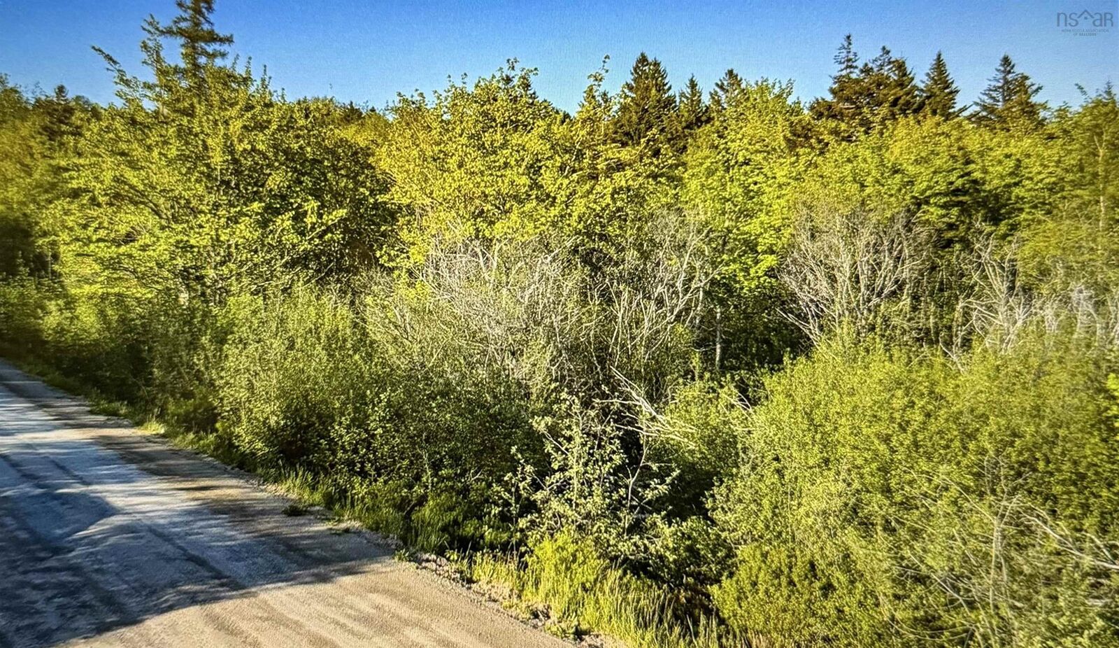 Property Photo:  Jordantown Cross Road  NS B0V 1A0 