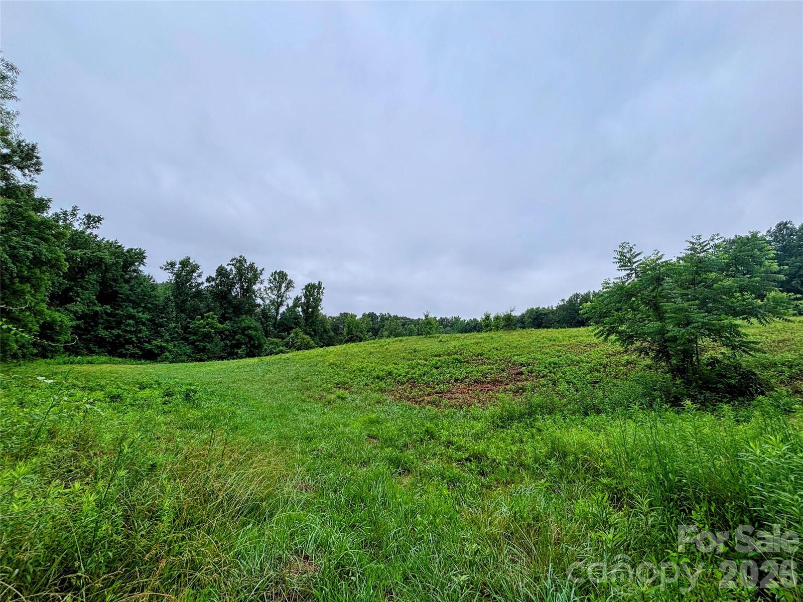 Property Photo: 0 Cloud Top Lane NC 28115