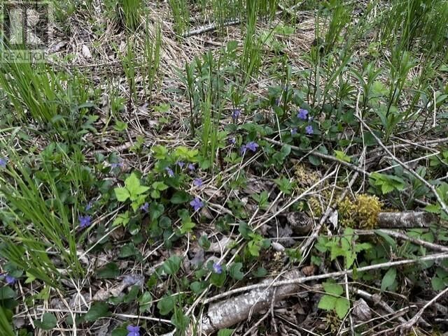 Property Photo:  Lot K1 Greenfield Road  NS B4P 2R1 