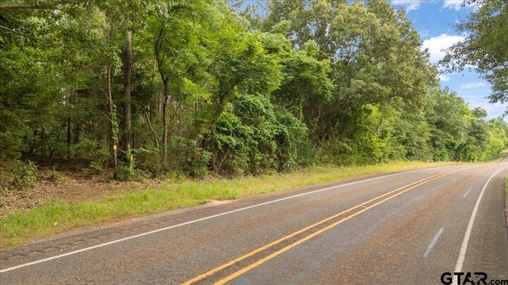Property Photo: Tbd S Fm 225 TX 75667