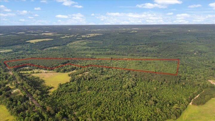 Property Photo: Tbd S Fm 225 TX 75667