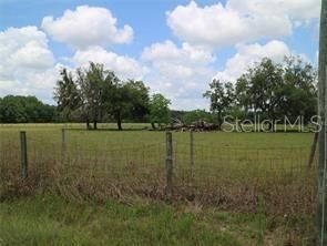 Property Photo: 11819 Tarpon Springs Road FL 33556