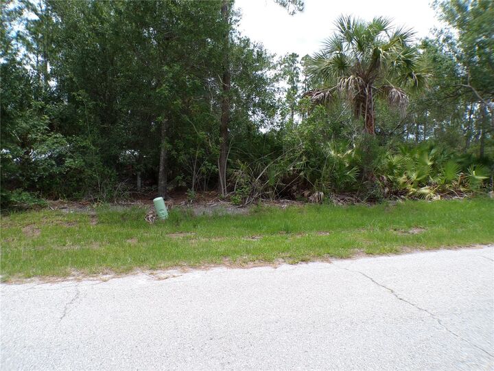 Property Photo: 3358 Tiffiny Street FL 33980