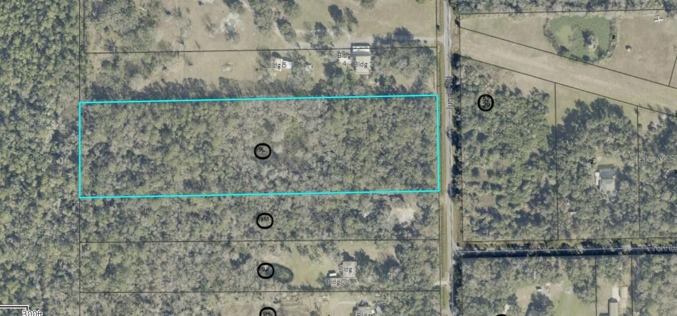 Property Photo: Jungle Road FL 32732
