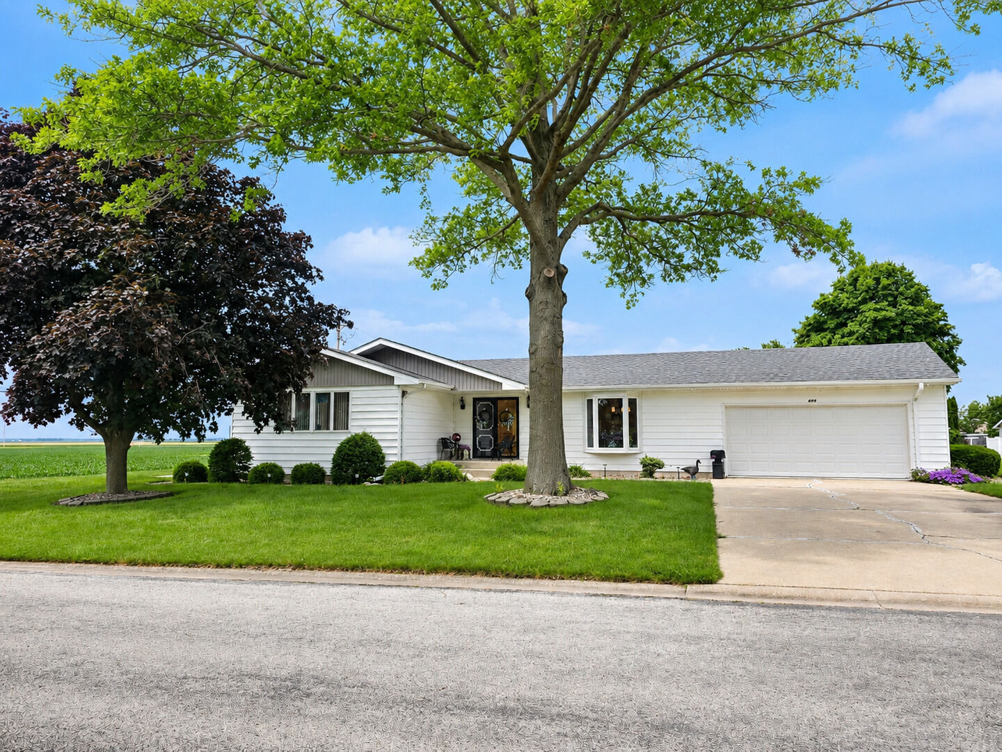Property Photo: 606 E Fine Street IL 60911