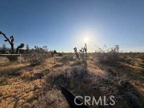 Property Photo:  0 Mountain Rd,  CA 92372 