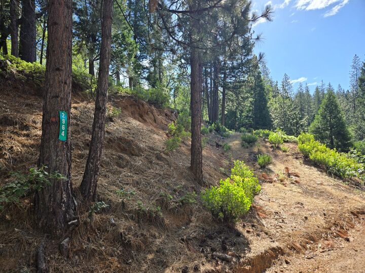 Property Photo: 2964 Murphys Drive CA 95223