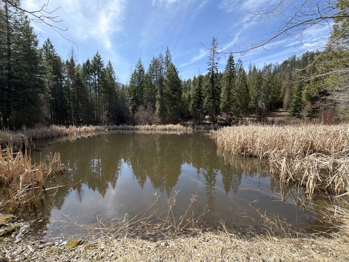 Property Photo:  20xx Dunn Mountain Way  WA 99101 