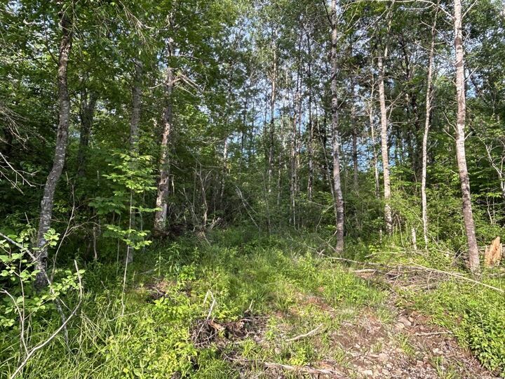 Lot K1 Greenfield Road — photo 1