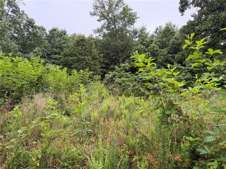 Property Photo:  Off Of Morgan Cave Road  AR 72601 