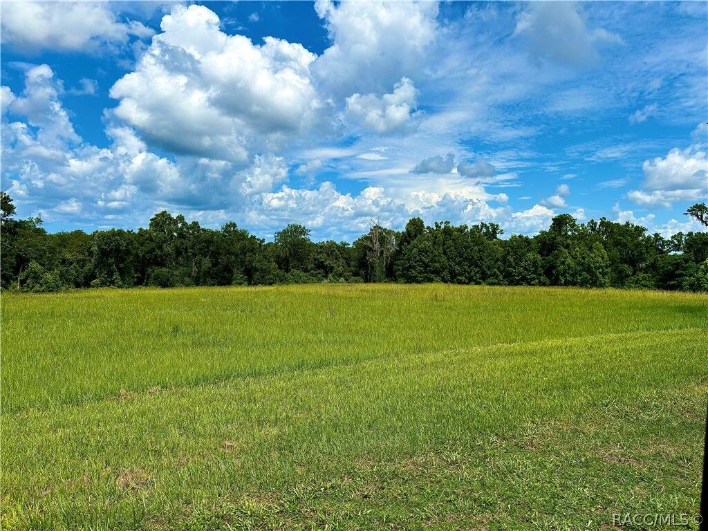 Property Photo:  0000 Old Spring Lake Road  FL 34601 