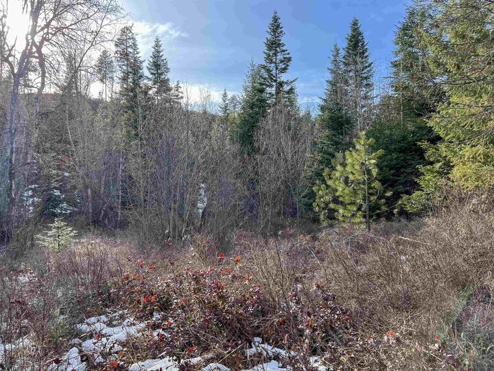 Property Photo:  35xx Harms Way  WA 99181 