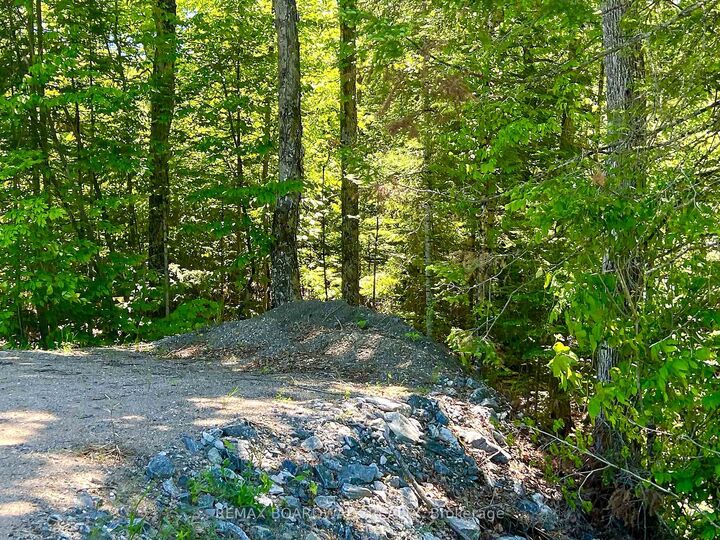 Property Photo:  00 Buckshot Lake Road  ON K0H 1K0 