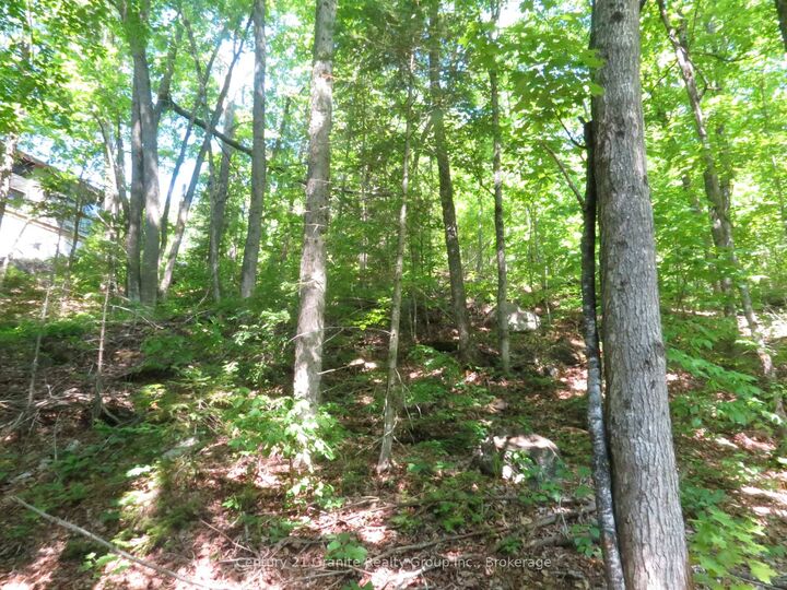 Property Photo:  0 Fire Route 330 Route  ON K0M 1R0 