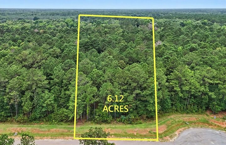 Property Photo:  317 Hidden Lakes Drive  GA 31707 