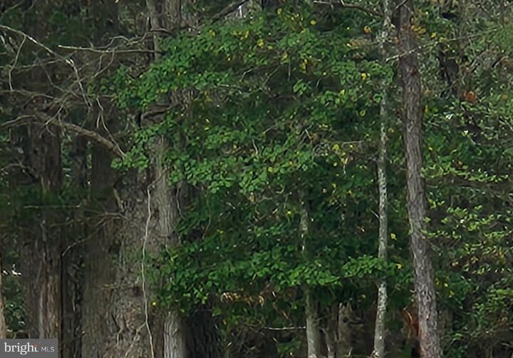 Property Photo: 42700 Moll Dyer Road MD 20650