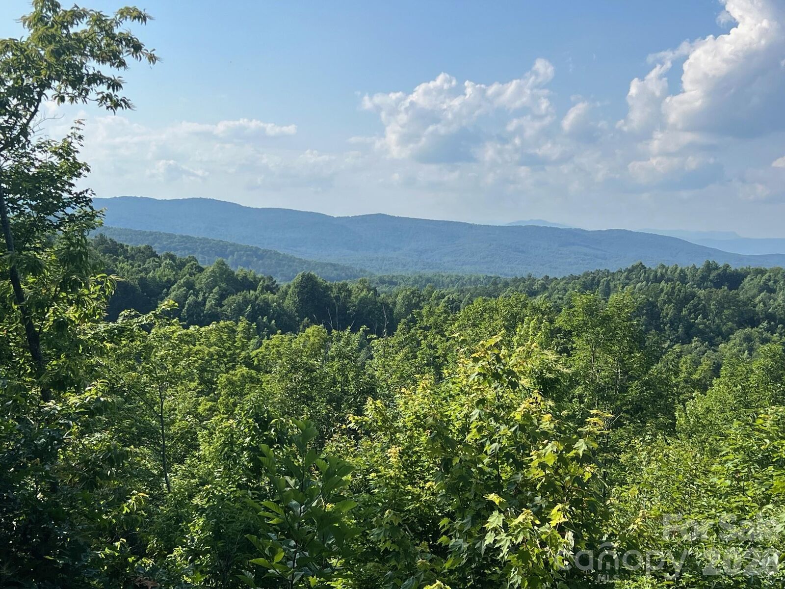 Property Photo: 253 Falls Creek Drive NC 28761