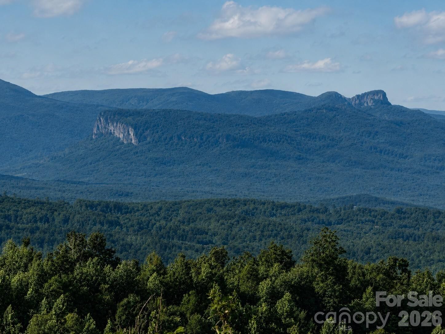 Property Photo: 253 Falls Creek Drive NC 28761