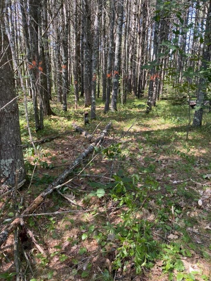 Property Photo:  Lot 10,11,12,13 Rockwood Drive  WI 54548 