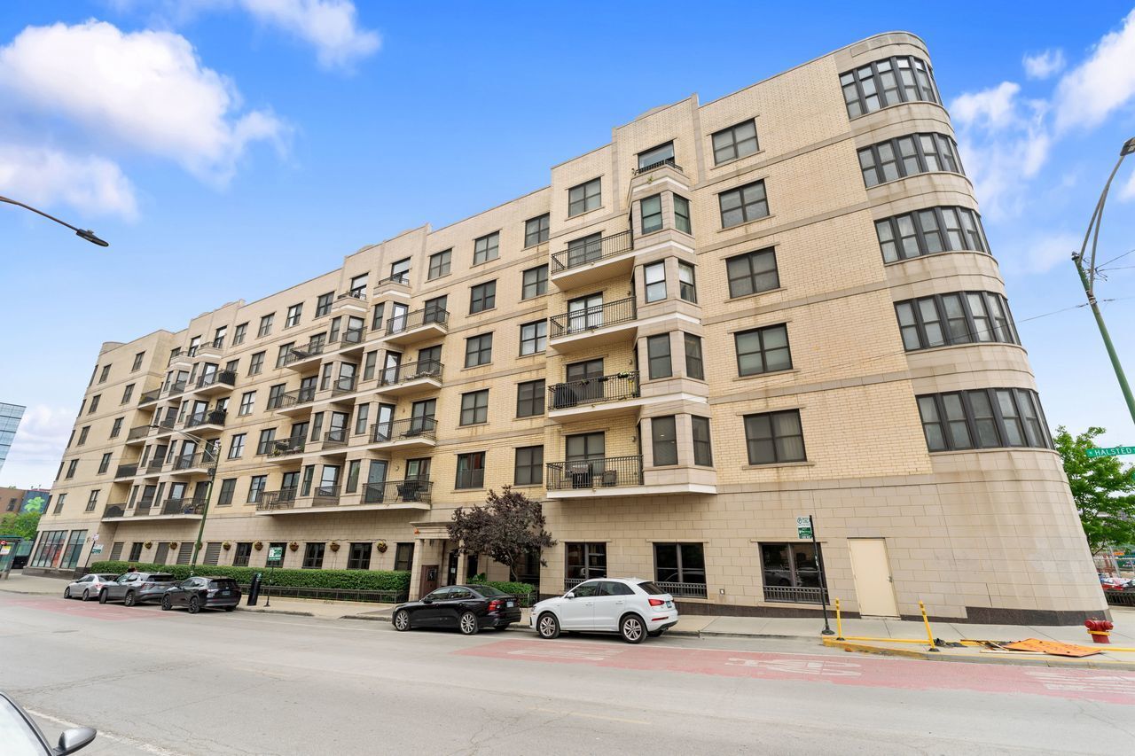 Property Photo: 520 N Halsted Street 315 IL 60642