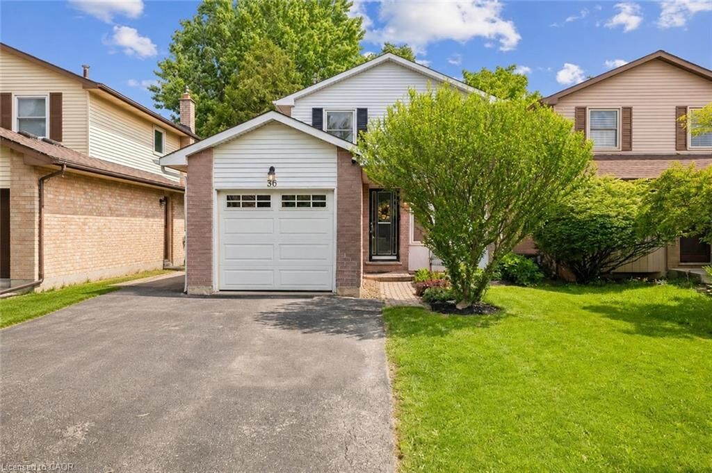 Property Photo:  36 Braeheid Avenue  ON L8B 0C5 