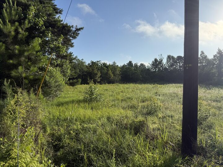 Property Photo: Tbd Vaughn LA 70634