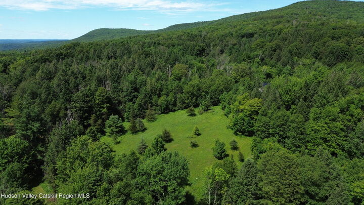 Property Photo:  0 Van Etten  NY 12452 