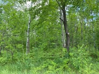 Property Photo: Lot 141 Montrose Drive MI 49659