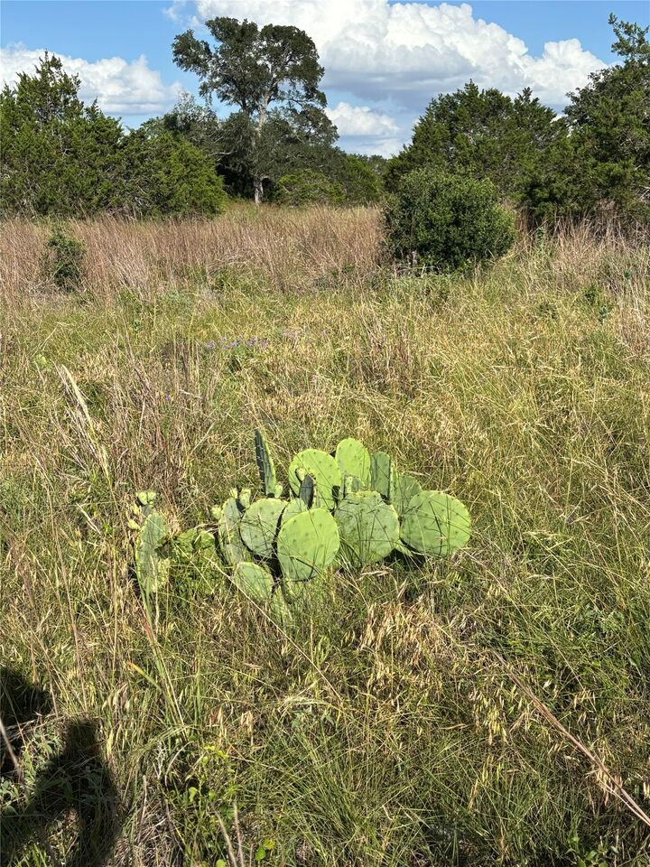 Property Photo: 1200 Cave Springs Drive TX 78676
