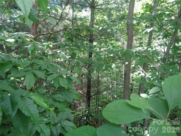 Property Photo: Lot 6 Peaks Creek Trail NC 28751