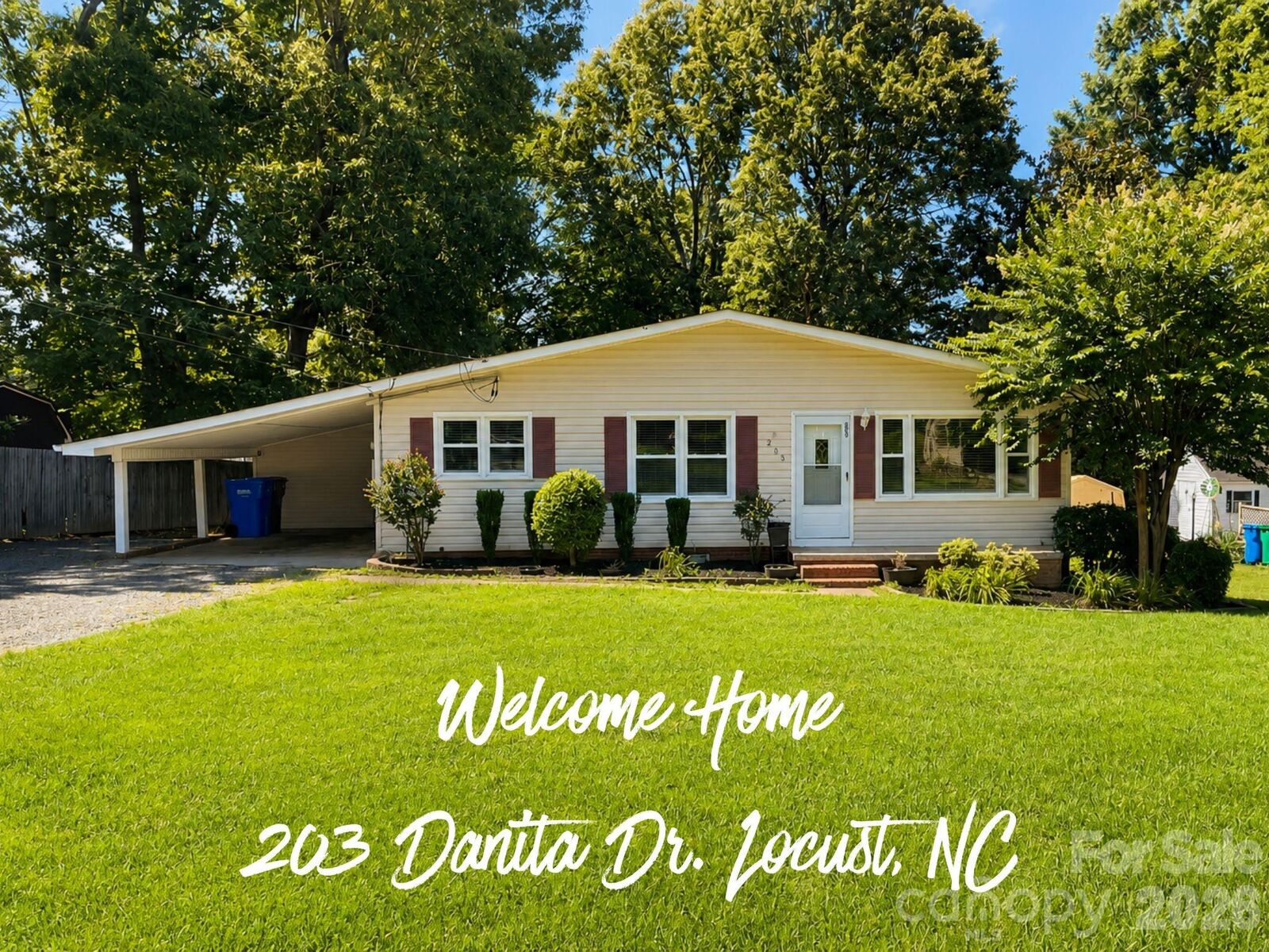 Property Photo:  203 Danita Drive  NC 28097 