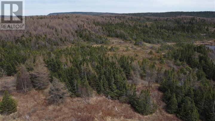 Property Photo:  00 North River Road  NL A0A 3C0 