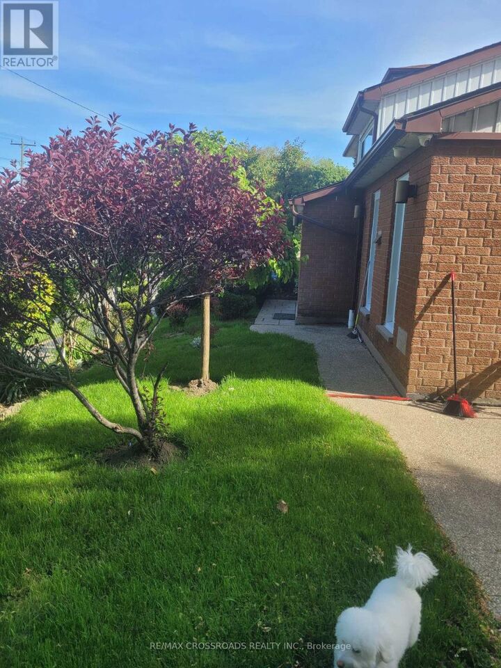 Property Photo: 36 Caverley Drive ON M9R 2L8