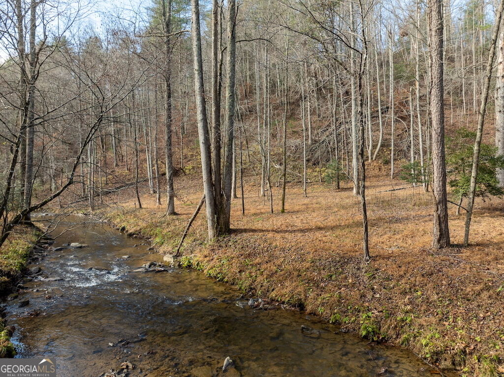 Property Photo:  780 Banks Road  GA 30540 