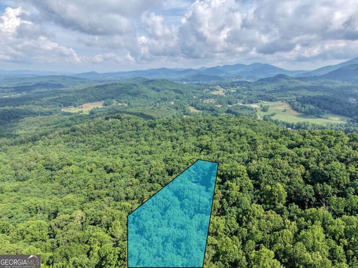 Property Photo:  549 Cook Mountain Drive  GA 30512 
