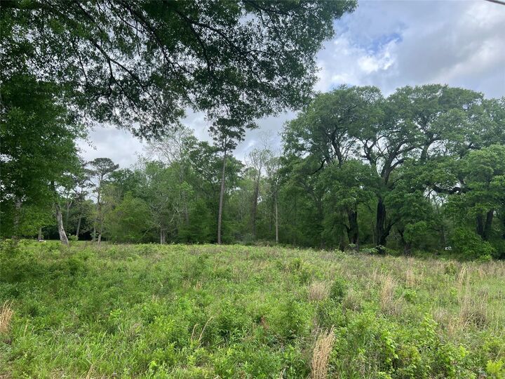 Property Photo: 000 N Mlk Drive TX 77575