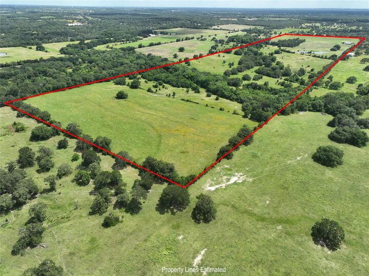 Property Photo: 0 Homeyer Mtn Road TX 77835