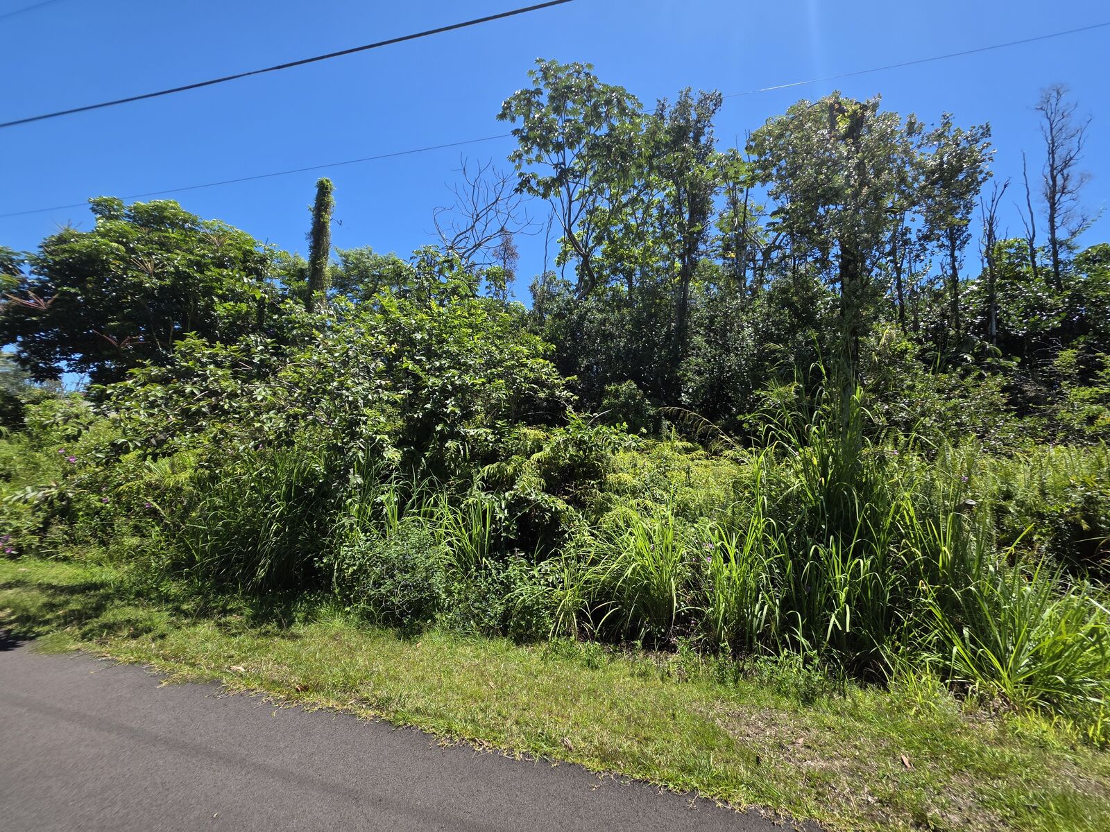 Property Photo: Kumu St HI 96778