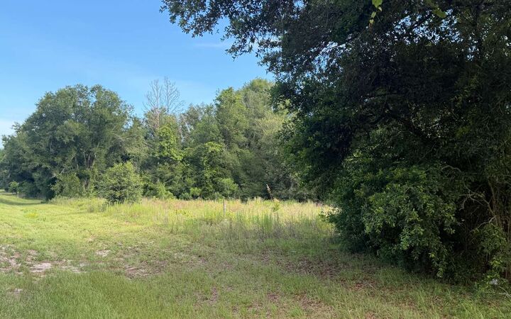 Property Photo:  
