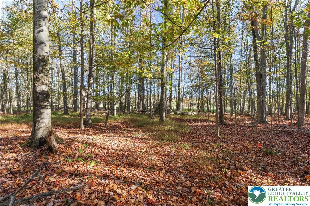 Property Photo:  Cygnus Road  PA 18436 